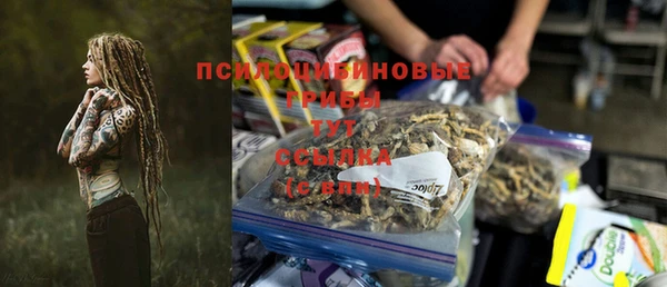 первитин Лиски