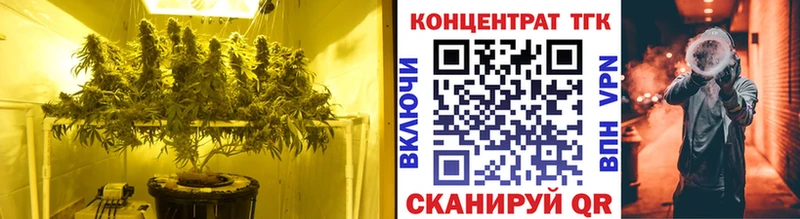 дарнет шоп  Электрогорск  Дистиллят ТГК гашишное масло 