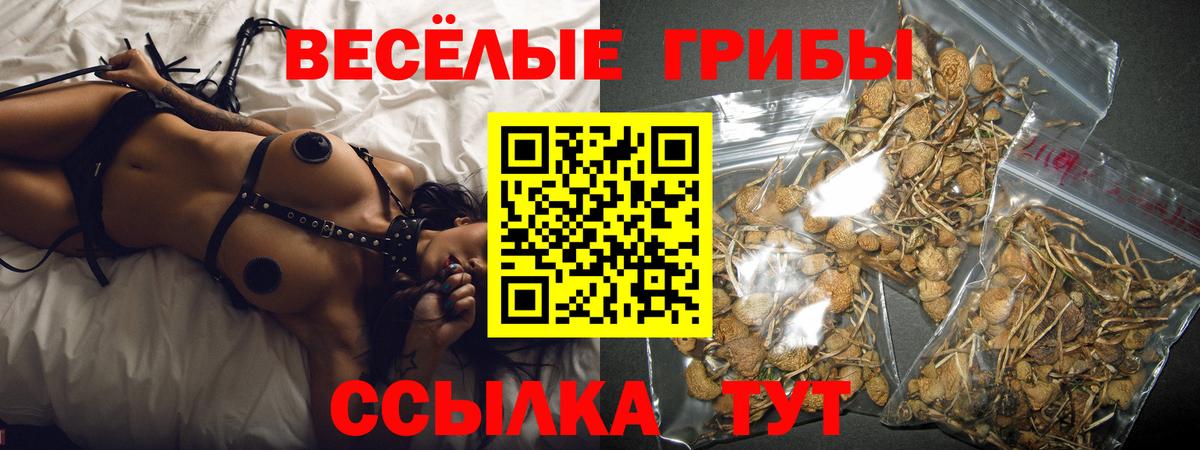 Псилоцибиновые грибы MAGIC MUSHROOMS  купить   Электрогорск 
